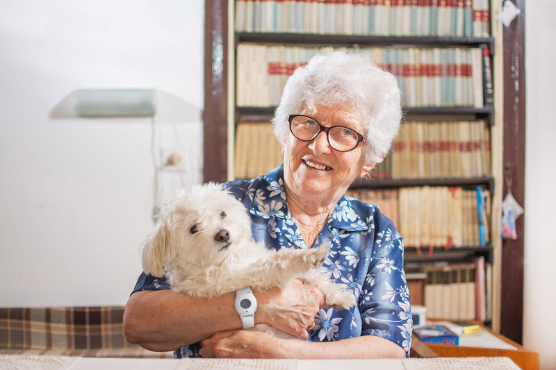 Why Pets are so Important for Seniors and Where to Get the Best Pet Insurance